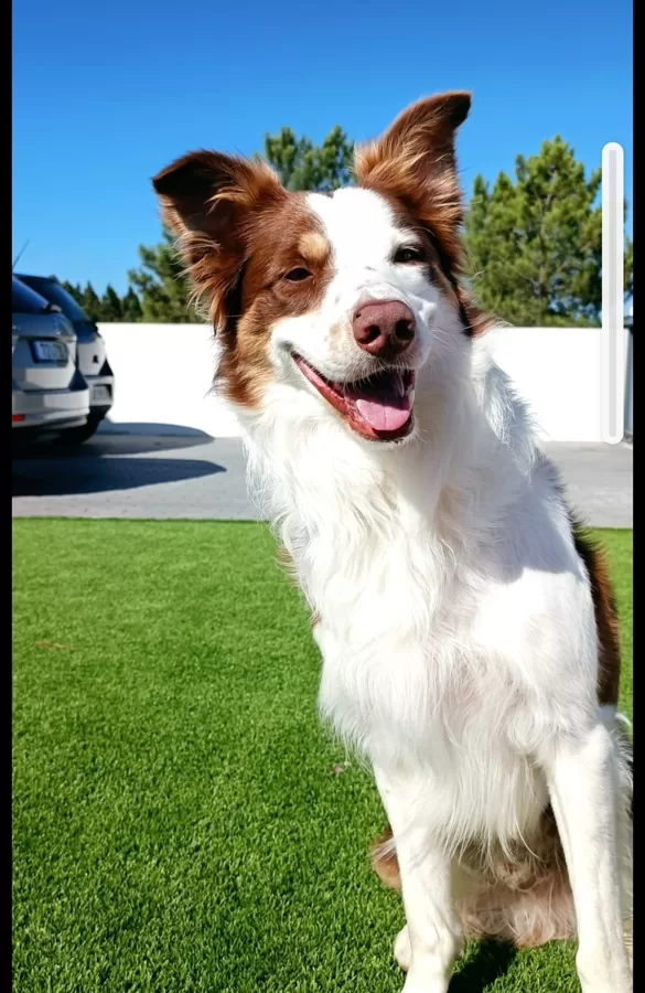 Charlie 